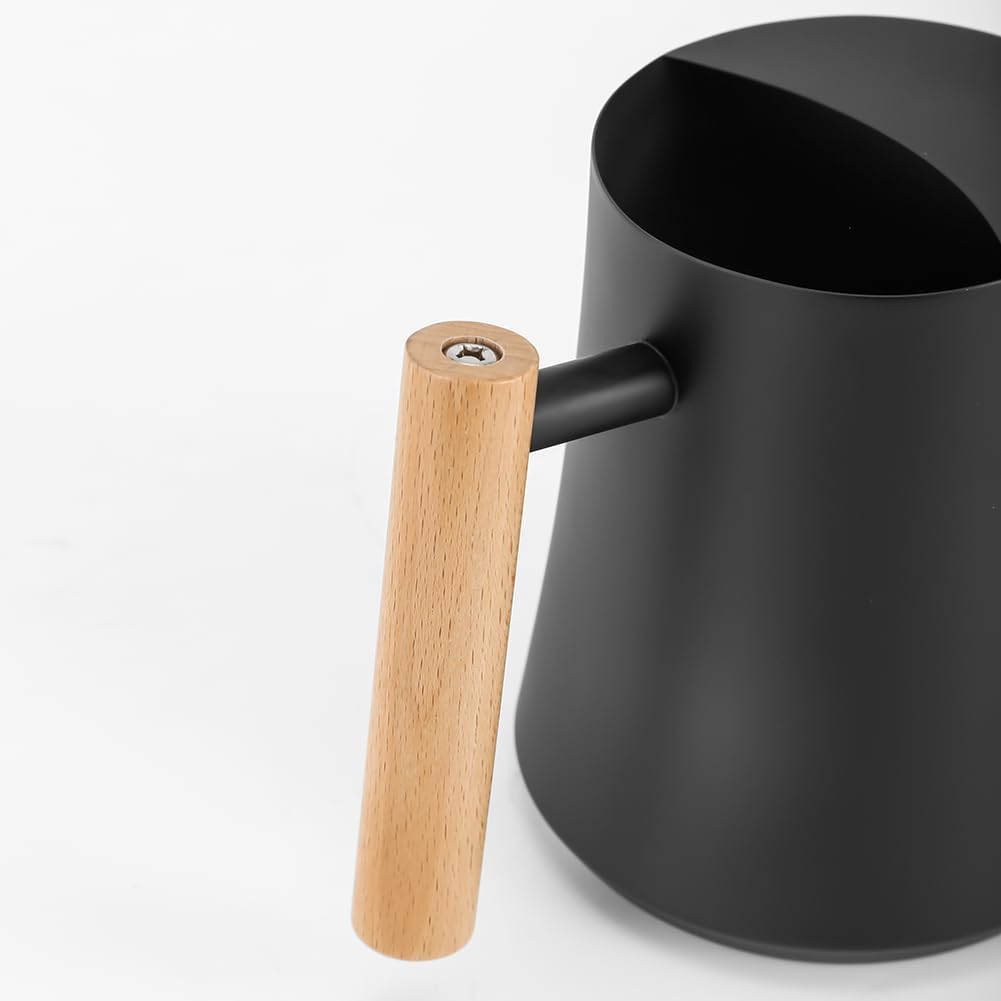 Black Watering Can for Indoor Plants, 1L/35oz Stainless Steel