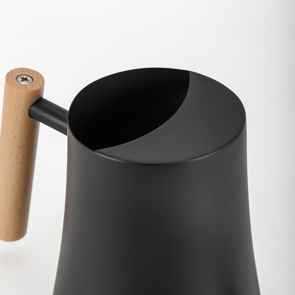 Black Watering Can for Indoor Plants, 1L/35oz Stainless Steel