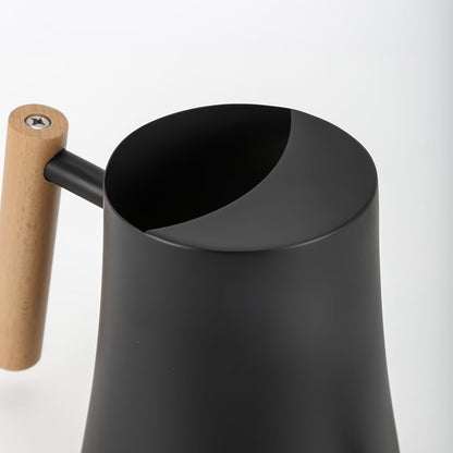 Black Watering Can for Indoor Plants, 1L/35oz Stainless Steel