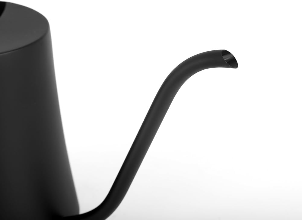 Black Watering Can for Indoor Plants, 1L/35oz Stainless Steel