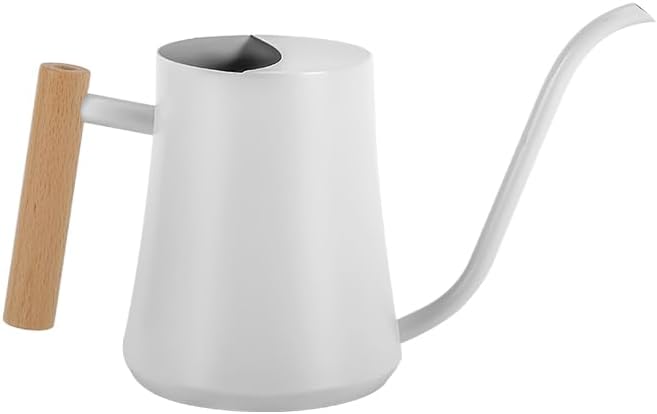 Black Watering Can for Indoor Plants, 1L/35oz Stainless Steel