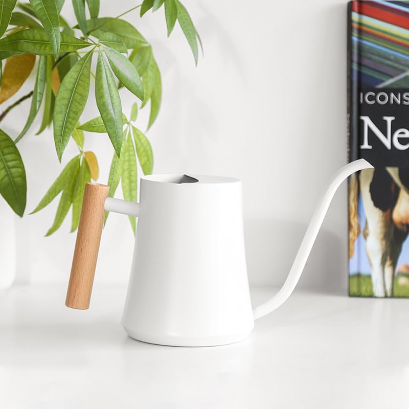 Black Watering Can for Indoor Plants, 1L/35oz Stainless Steel