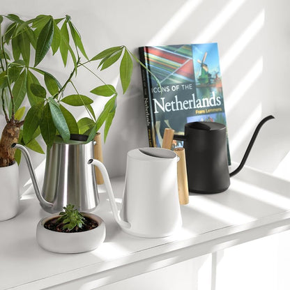 Black Watering Can for Indoor Plants, 1L/35oz Stainless Steel