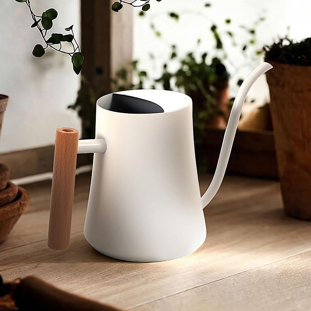 Black Watering Can for Indoor Plants, 1L/35oz Stainless Steel