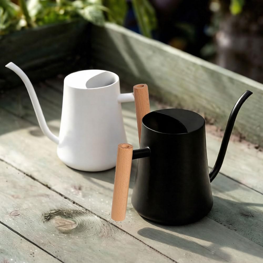 Black Watering Can for Indoor Plants, 1L/35oz Stainless Steel