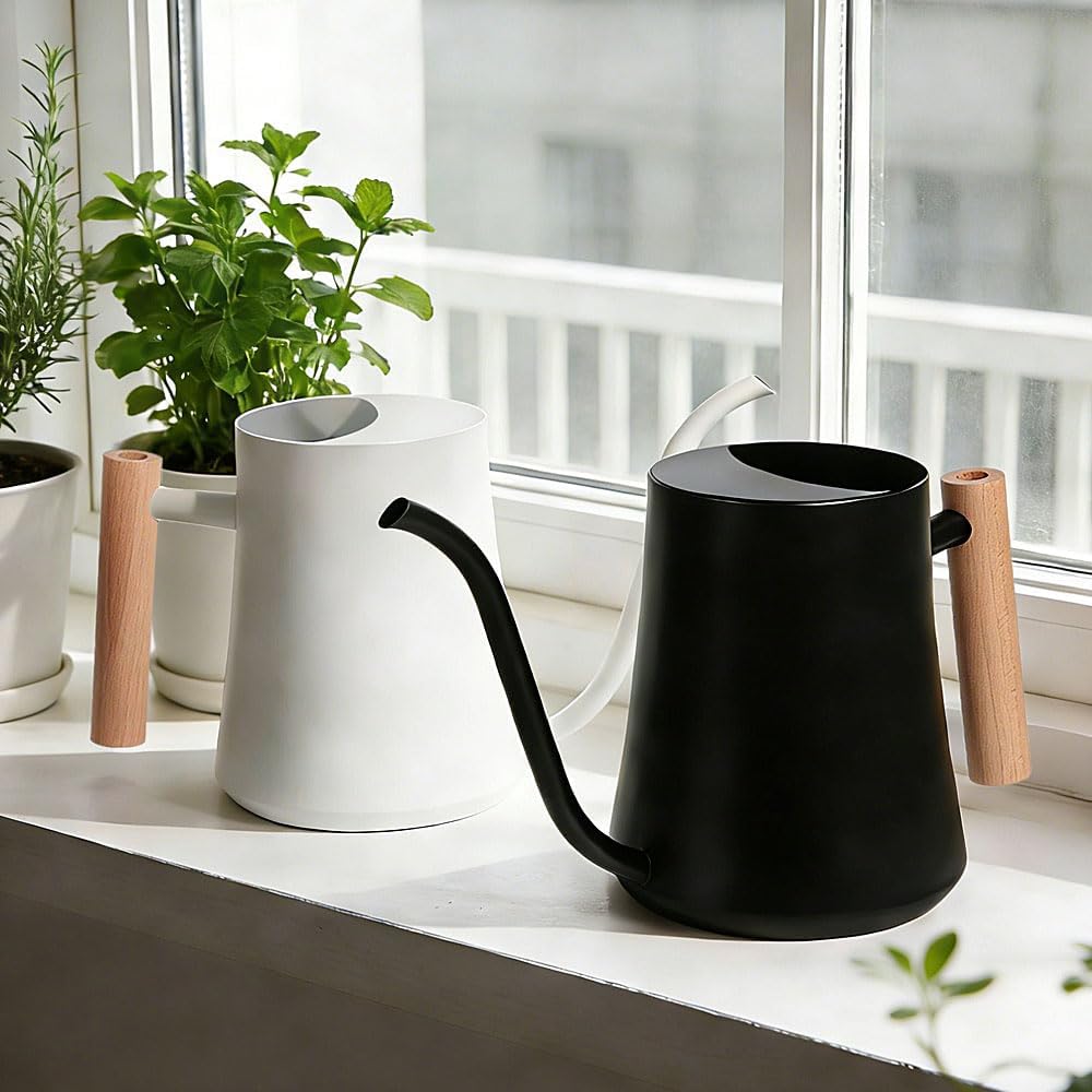 Black Watering Can for Indoor Plants, 1L/35oz Stainless Steel