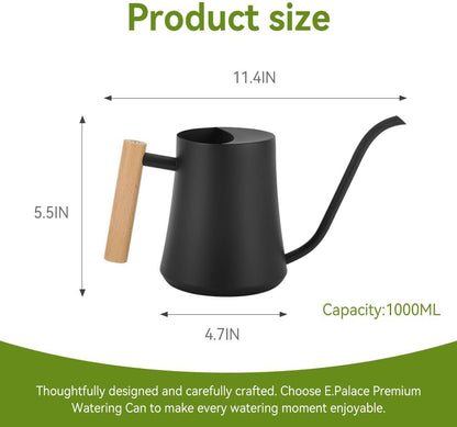 Black Watering Can for Indoor Plants, 1L/35oz Stainless Steel
