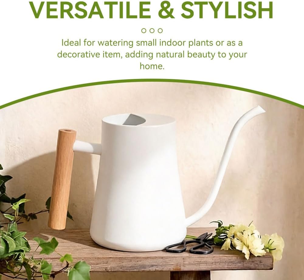 Black Watering Can for Indoor Plants, 1L/35oz Stainless Steel
