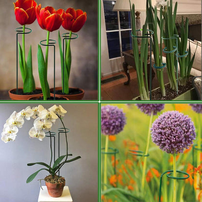 16 InchPlant Stakes for Flowers-12 Pack, Single Stem Plant Support Stakes