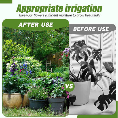 Plastic Watering Can - for Indoor and Outdoor Home Garden Plants - with Long Spout - Green - 1/4 Gallon