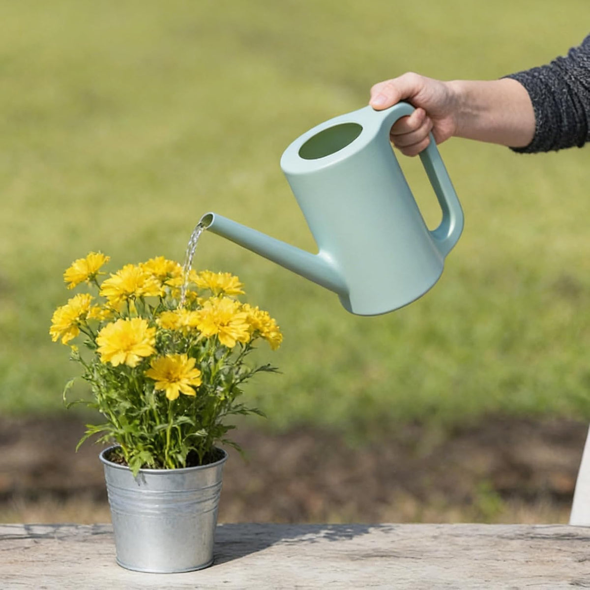 Plastic Watering Can - for Indoor and Outdoor Home Garden Plants - with Long Spout - Green - 1/4 Gallon