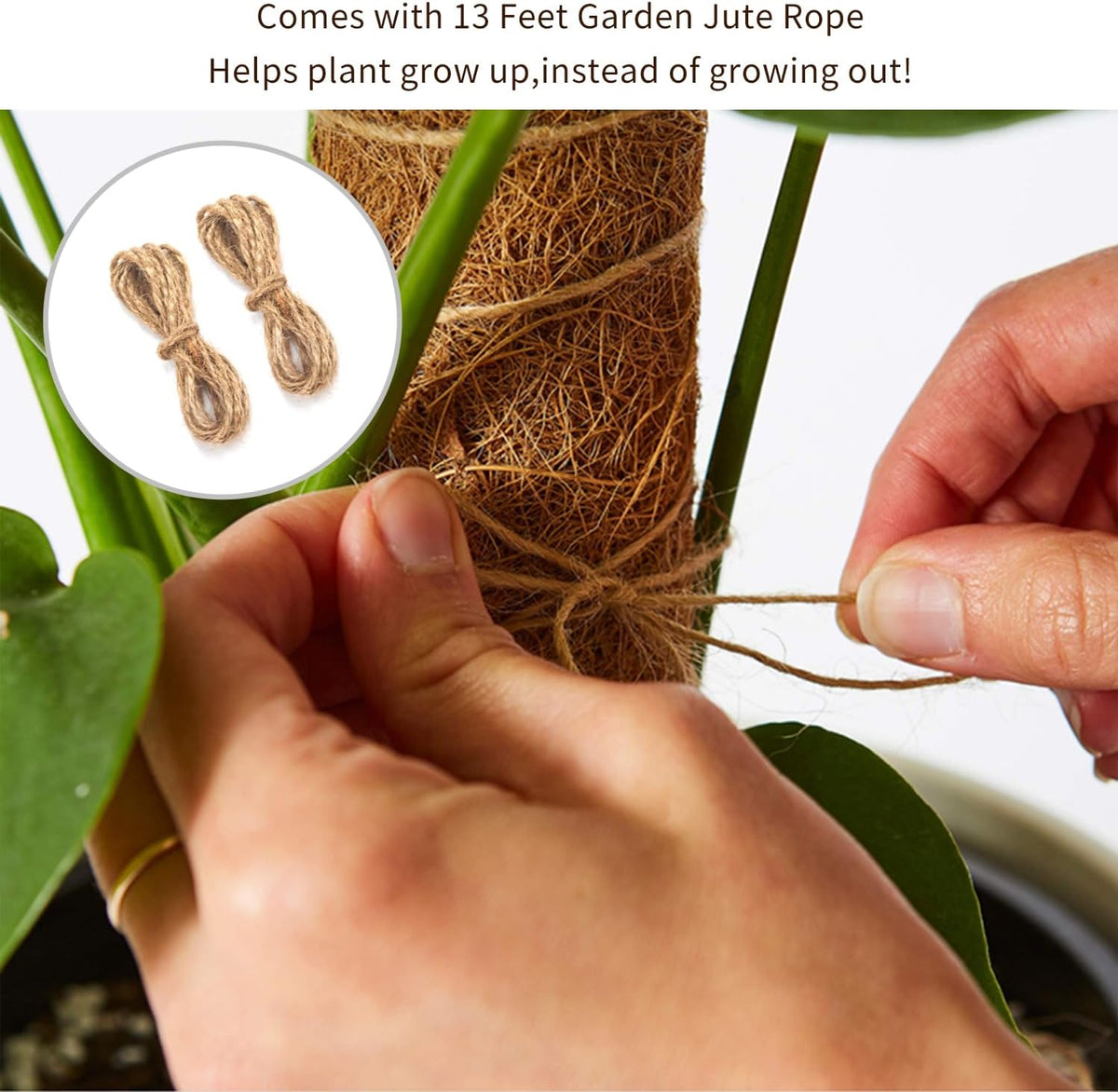 30 Inch Moss Pole for Climbing Plants - 2 Pack 15 Inch Coir Totem Pole Plant Support with 65 Feet Garden Twist Tie for Monstera and Potted Plants to Grow Upwards…
