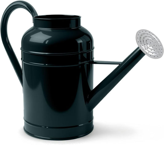 2.3 Gallon Dark Green Metal Watering Can for Plants and Garden with Removable Spout, Made of Galvanized Iron