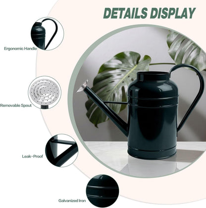 2.3 Gallon Dark Green Metal Watering Can for Plants and Garden with Removable Spout, Made of Galvanized Iron