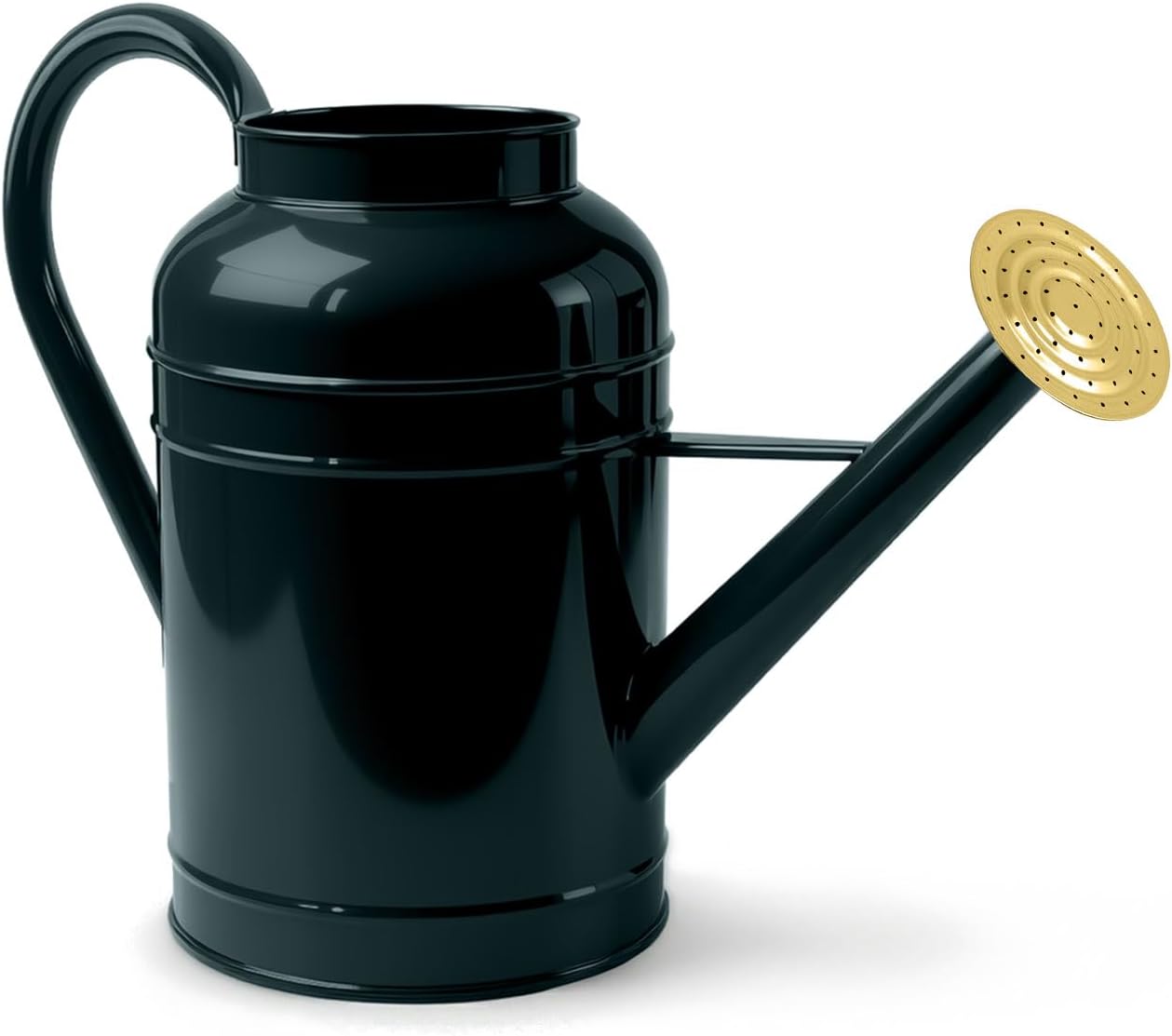 2.3 Gallon Dark Green Metal Watering Can for Plants and Garden with Removable Spout, Made of Galvanized Iron