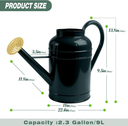 2.3 Gallon Dark Green Metal Watering Can for Plants and Garden with Removable Spout, Made of Galvanized Iron