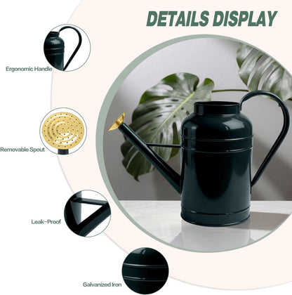2.3 Gallon Dark Green Metal Watering Can for Plants and Garden with Removable Spout, Made of Galvanized Iron