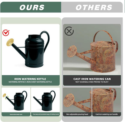 2.3 Gallon Dark Green Metal Watering Can for Plants and Garden with Removable Spout, Made of Galvanized Iron