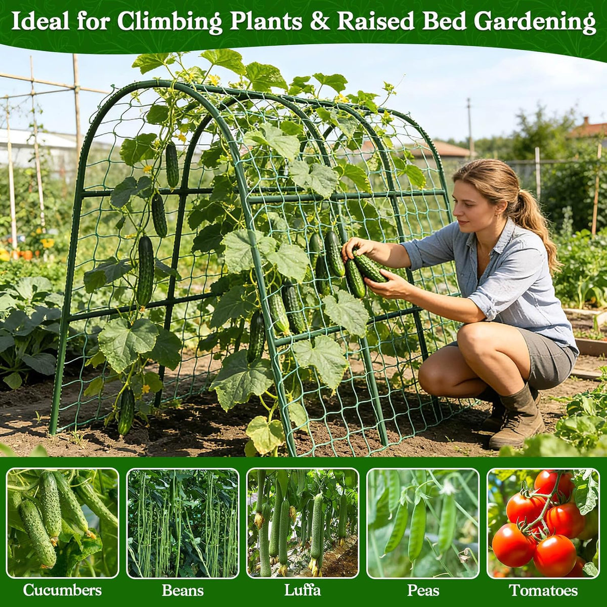 Cucumber Trellis for Raised Bed, Garden Arch Trellis for Climbing Plants Outdoor, Metal Garden Trellis for Spring Vegetables, Cucumber Trellis for Tomato, Bean, Pea, Grape, Plant