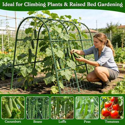Cucumber Trellis for Raised Bed, Garden Arch Trellis for Climbing Plants Outdoor, Metal Garden Trellis for Spring Vegetables, Cucumber Trellis for Tomato, Bean, Pea, Grape, Plant