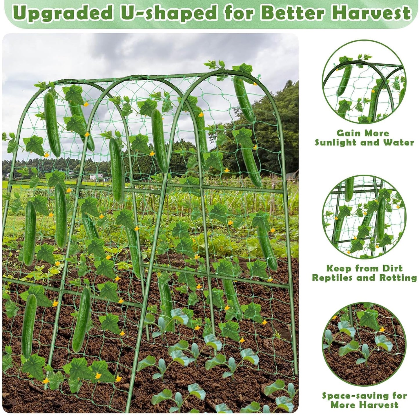 Cucumber Trellis for Raised Bed, Garden Arch Trellis for Climbing Plants Outdoor, Metal Garden Trellis for Spring Vegetables, Cucumber Trellis for Tomato, Bean, Pea, Grape, Plant