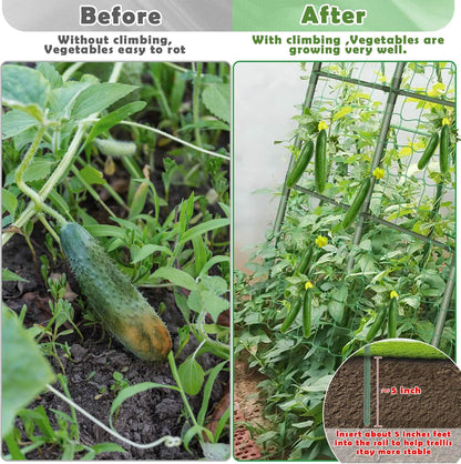 Cucumber Trellis for Raised Bed, Garden Arch Trellis for Climbing Plants Outdoor, Metal Garden Trellis for Spring Vegetables, Cucumber Trellis for Tomato, Bean, Pea, Grape, Plant