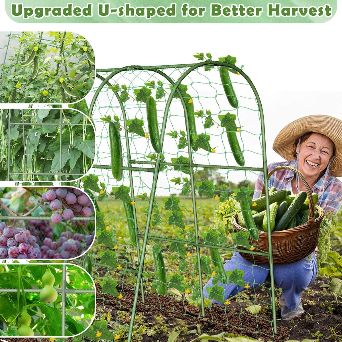 Cucumber Trellis for Raised Bed, Garden Arch Trellis for Climbing Plants Outdoor, Metal Garden Trellis for Spring Vegetables, Cucumber Trellis for Tomato, Bean, Pea, Grape, Plant
