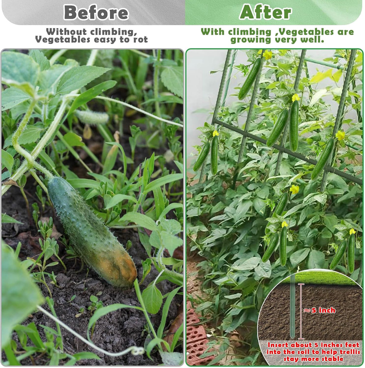 Cucumber Trellis for Raised Bed, Garden Arch Trellis for Climbing Plants Outdoor, Metal Garden Trellis for Spring Vegetables, Cucumber Trellis for Tomato, Bean, Pea, Grape, Plant