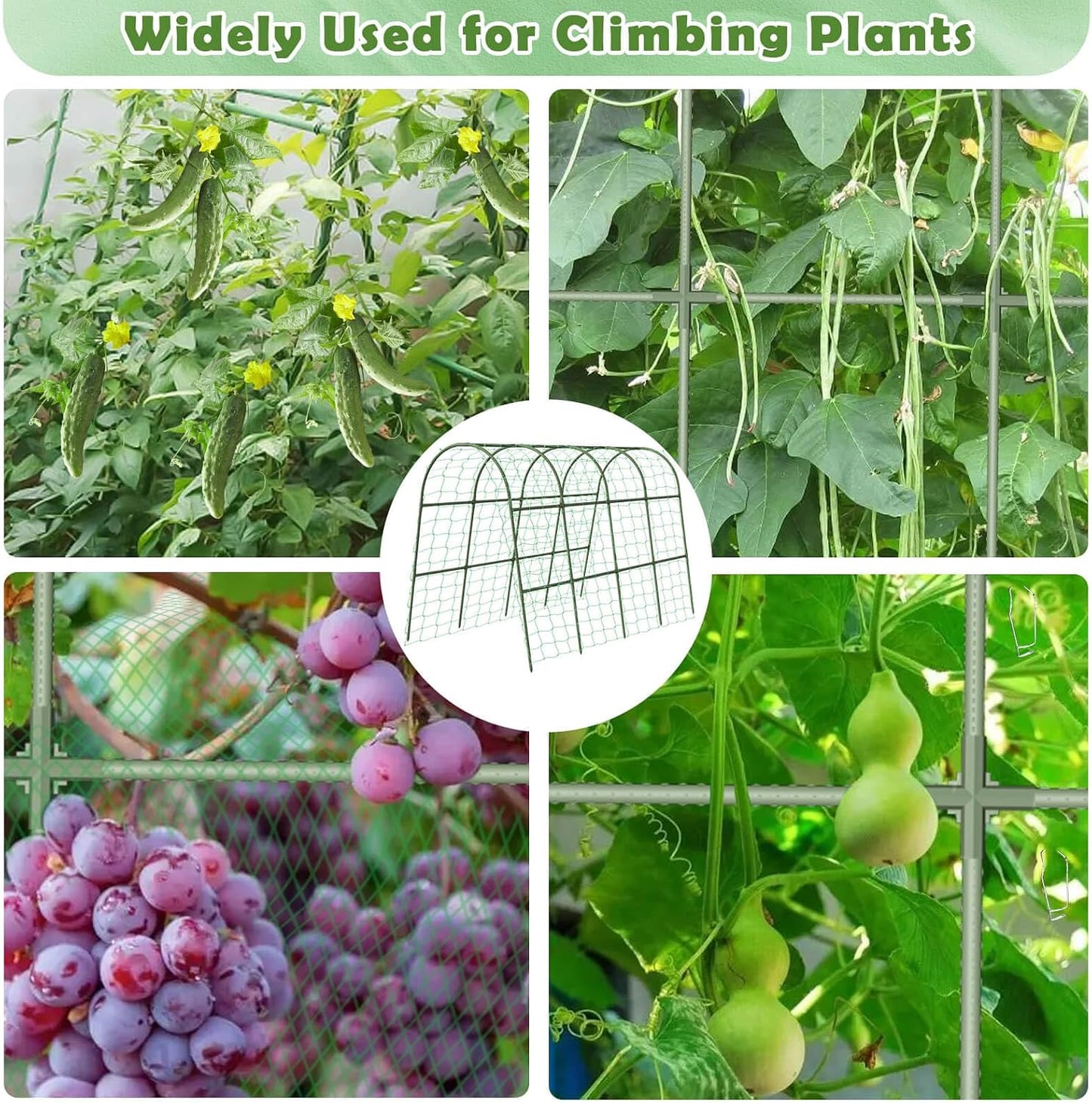 Cucumber Trellis for Raised Bed, Garden Arch Trellis for Climbing Plants Outdoor, Metal Garden Trellis for Spring Vegetables, Cucumber Trellis for Tomato, Bean, Pea, Grape, Plant