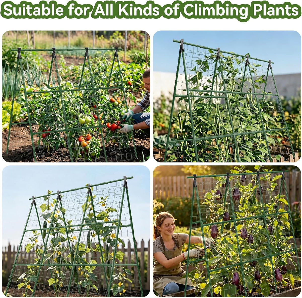 2 Pack Cucumber Trellis, 34"×48" Garden Trellis for Climbing Plants Outdoor, A-Frame Vegetable Trellis for Raised Bed, Support for Tomatoes, Squash, Zucchini, Vegetables & Flowers