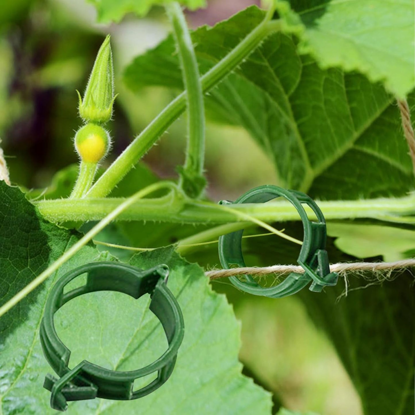 100PCS Plant Support Garden Clips Tomato Clips Supports/Connects Plants/Twine/Vines Trellis/Cages Plant Vine Vegetable Fastening Clip Grafting Tools Make Plant Grow Upright and Healthier (100PCS)