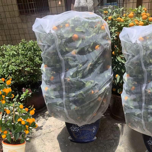 Bird Netting 84" Hx72 W Garden Netting Insect Pest Barrier,Plant Cover Fruit Tree Netting Mesh Protection Bag with Drawstring,White
