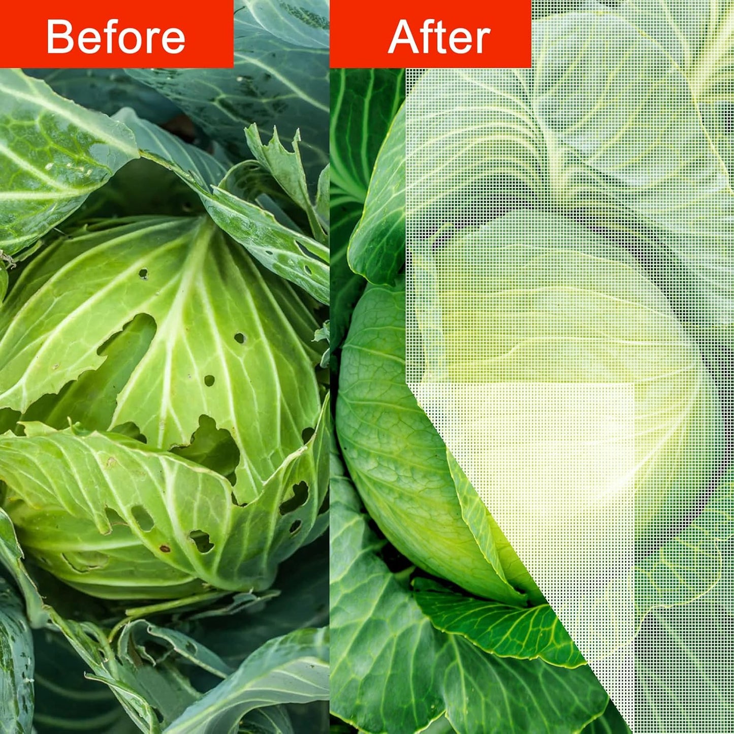 Bird Netting 84" Hx72 W Garden Netting Insect Pest Barrier,Plant Cover Fruit Tree Netting Mesh Protection Bag with Drawstring,White