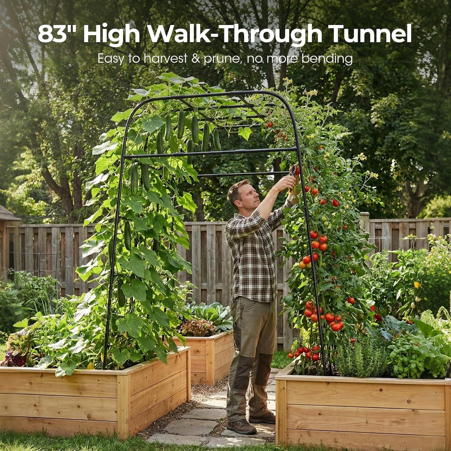Garden Arch Trellis for Climbing Plants, 83" High Metal Cucumber Trellis & Tomato Cage, Rustproof Steel Tunnel Support for Squash, Pumpkin, Vegetables with Screw Fixation (32.3" L x 39.4" W)