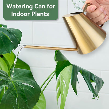 Watering Can for Indoor Plants, 13.5 Oz/400 Ml Indoor Plant Watering Can Stainless Steel Small Water Cans with Long Spout for Plants Succulent Bonsai, 4 X 4.9 Inch