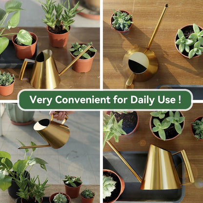 Watering Can for Indoor Plants, 13.5 Oz/400 Ml Indoor Plant Watering Can Stainless Steel Small Water Cans with Long Spout for Plants Succulent Bonsai, 4 X 4.9 Inch