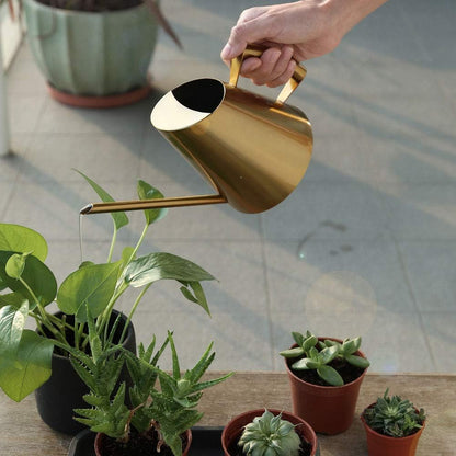 Watering Can for Indoor Plants, 13.5 Oz/400 Ml Indoor Plant Watering Can Stainless Steel Small Water Cans with Long Spout for Plants Succulent Bonsai, 4 X 4.9 Inch
