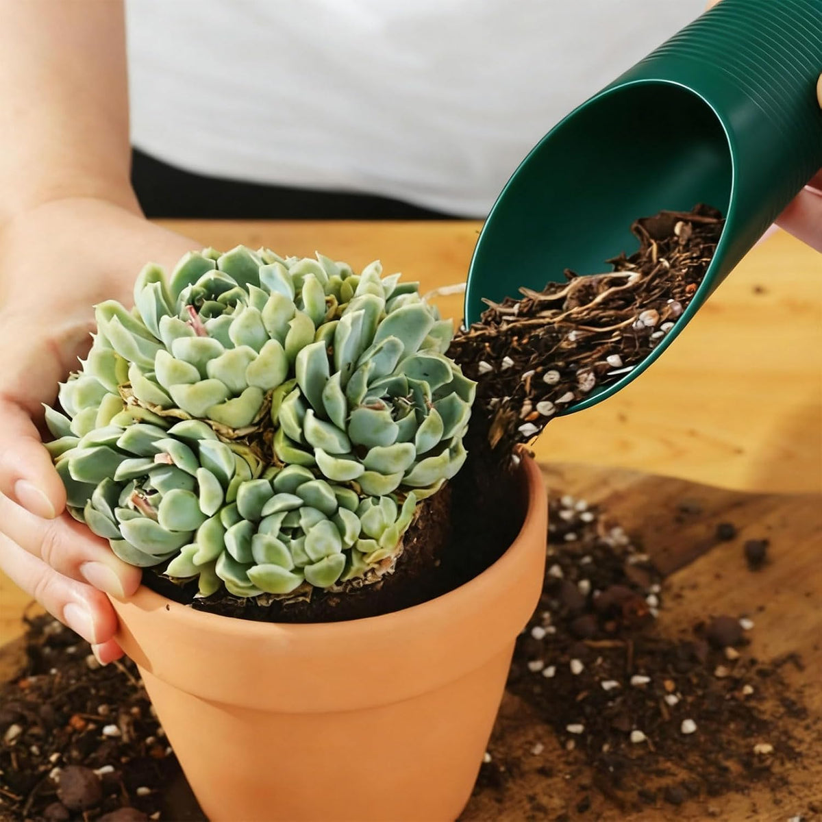 Bonsai Soil Scoop Plastic Garden Shovel, Green, 1 Pcs
