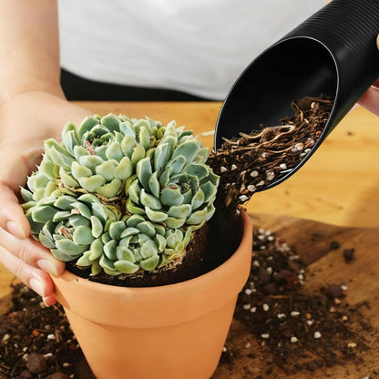 Bonsai Soil Scoop Plastic Garden Shovel, Green, 1 Pcs