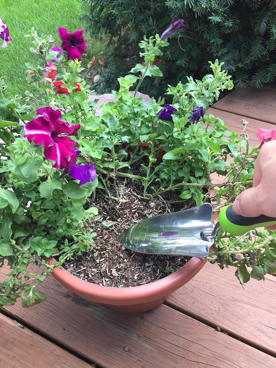 Transplanter Trowel Shovel - Stainless Steel - Rust Resistant - Ergonomic Grip - Perfect Hand Shovel Tool for Gardening Weeding Transplanting and Digging in Garden Beds