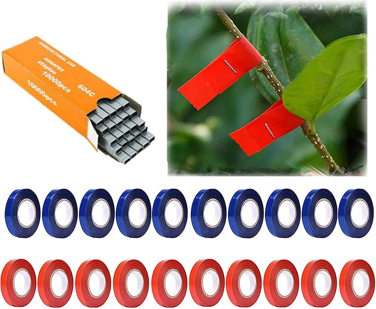 Plant Tying Machine,Plant Vine Tying Machine Tool with 10000pcs Staples 20 Rolls Tape Plant Tape Gun for Grapes,Raspberries,Tomatoes,and Vining Vegetables Tying Tool （Black）
