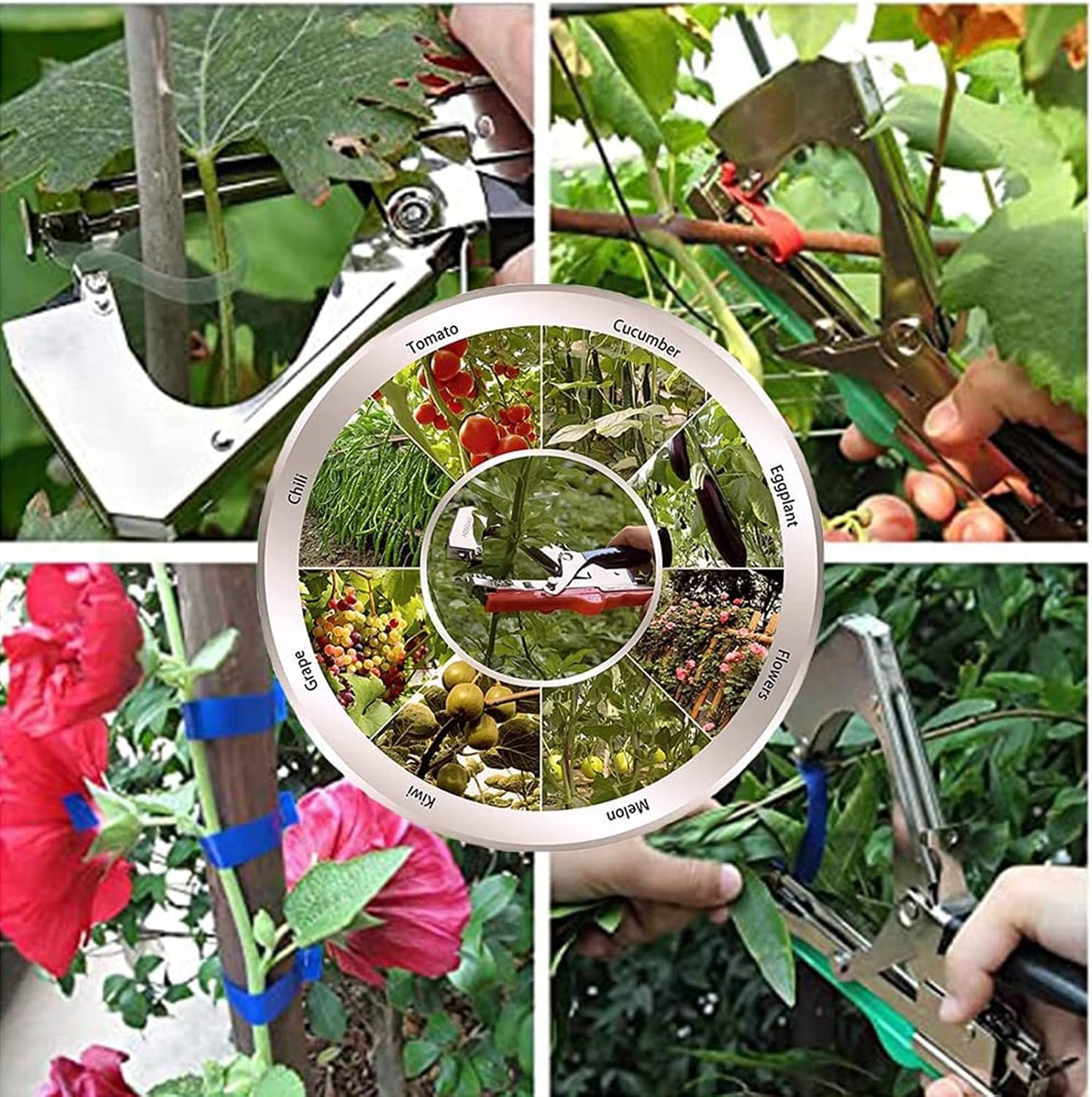 Plant Tying Machine,Plant Vine Tying Machine Tool with 10000pcs Staples 20 Rolls Tape Plant Tape Gun for Grapes,Raspberries,Tomatoes,and Vining Vegetables Tying Tool （Black）