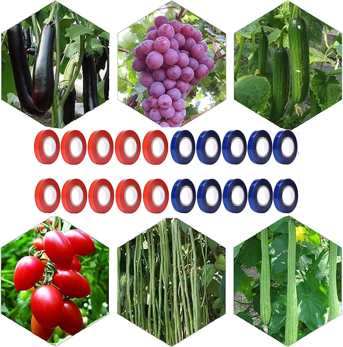 Plant Tying Machine,Plant Vine Tying Machine Tool with 10000pcs Staples 20 Rolls Tape Plant Tape Gun for Grapes,Raspberries,Tomatoes,and Vining Vegetables Tying Tool （Black）