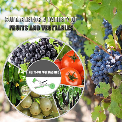 Plant Tying Machine,Plant Vine Tying Machine Tool with 10000pcs Staples 20 Rolls Tape Plant Tape Gun for Grapes,Raspberries,Tomatoes,and Vining Vegetables Tying Tool （Black）
