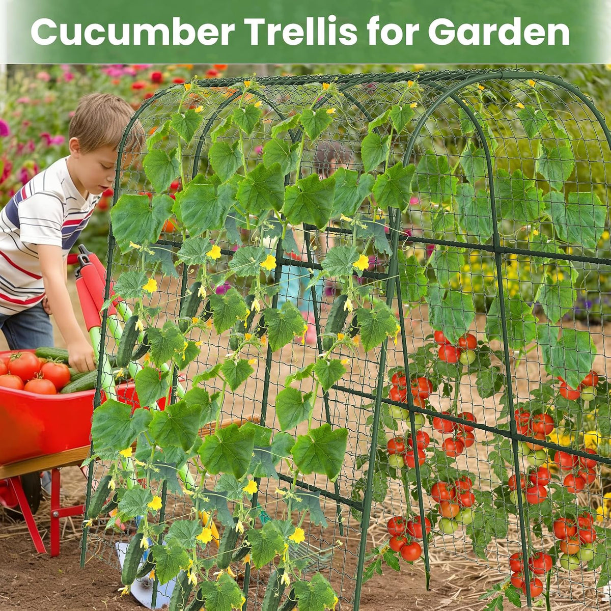 Cucumber Trellis, Metal Garden Arch Trellis for Raised Bed, 48 x 48inch U-Shape Garden Trellis for Climbing Plants Outdoor, Vegetables Fruit Plant Support with Netting, Gardening Supplies (Green)