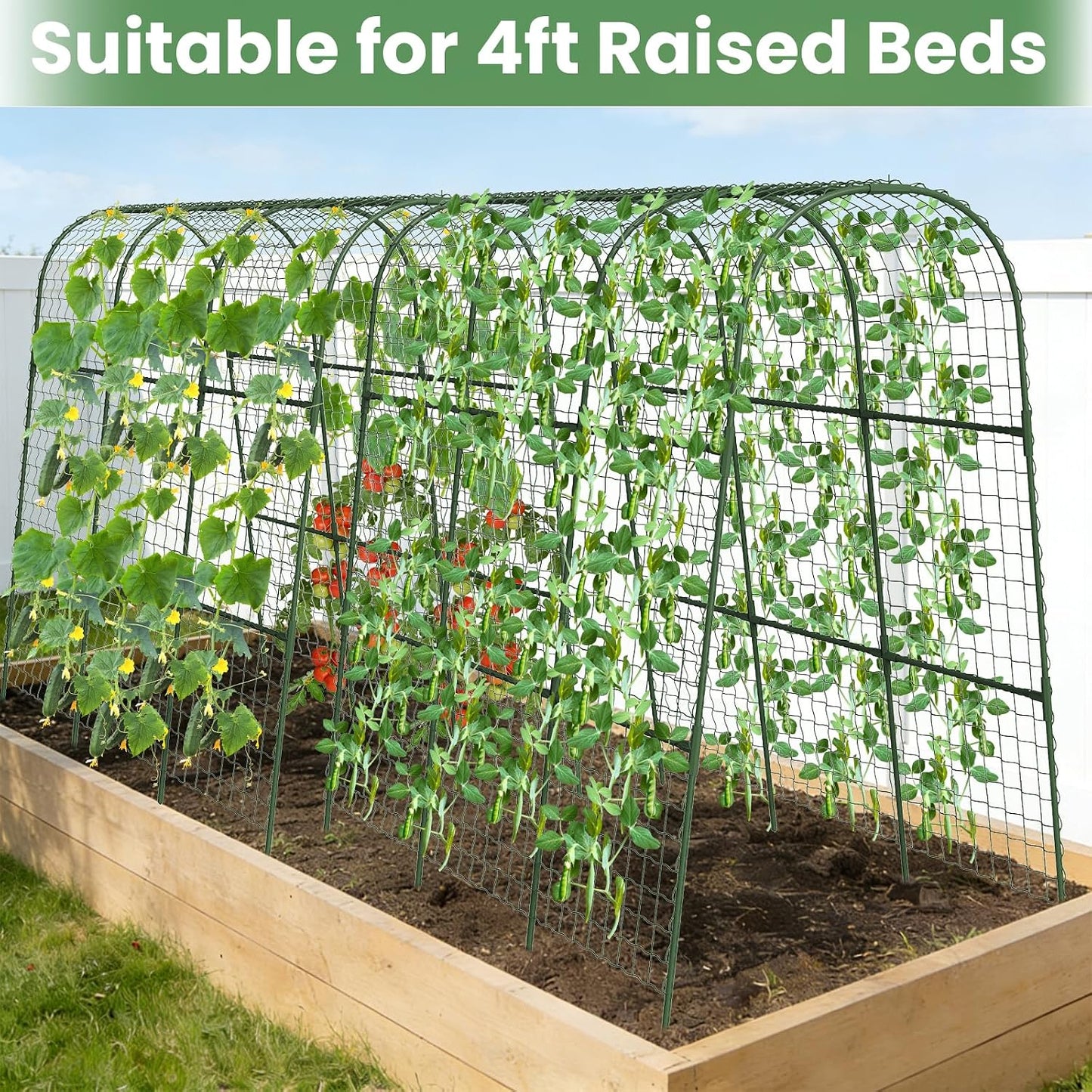 Cucumber Trellis, Metal Garden Arch Trellis for Raised Bed, 48 x 48inch U-Shape Garden Trellis for Climbing Plants Outdoor, Vegetables Fruit Plant Support with Netting, Gardening Supplies (Green)