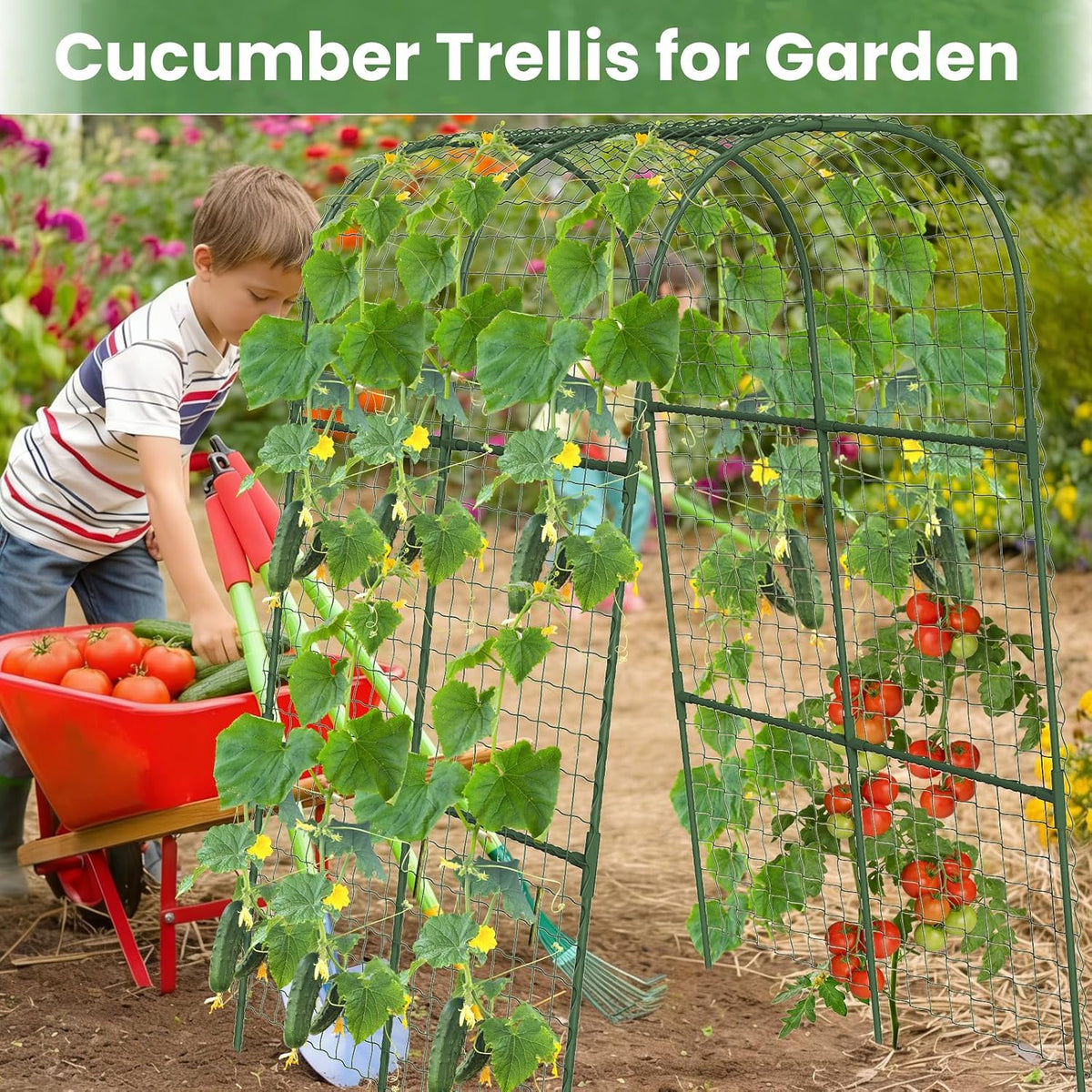 Cucumber Trellis, Metal Garden Arch Trellis for Raised Bed, 48 x 48inch U-Shape Garden Trellis for Climbing Plants Outdoor, Vegetables Fruit Plant Support with Netting, Gardening Supplies (Green)