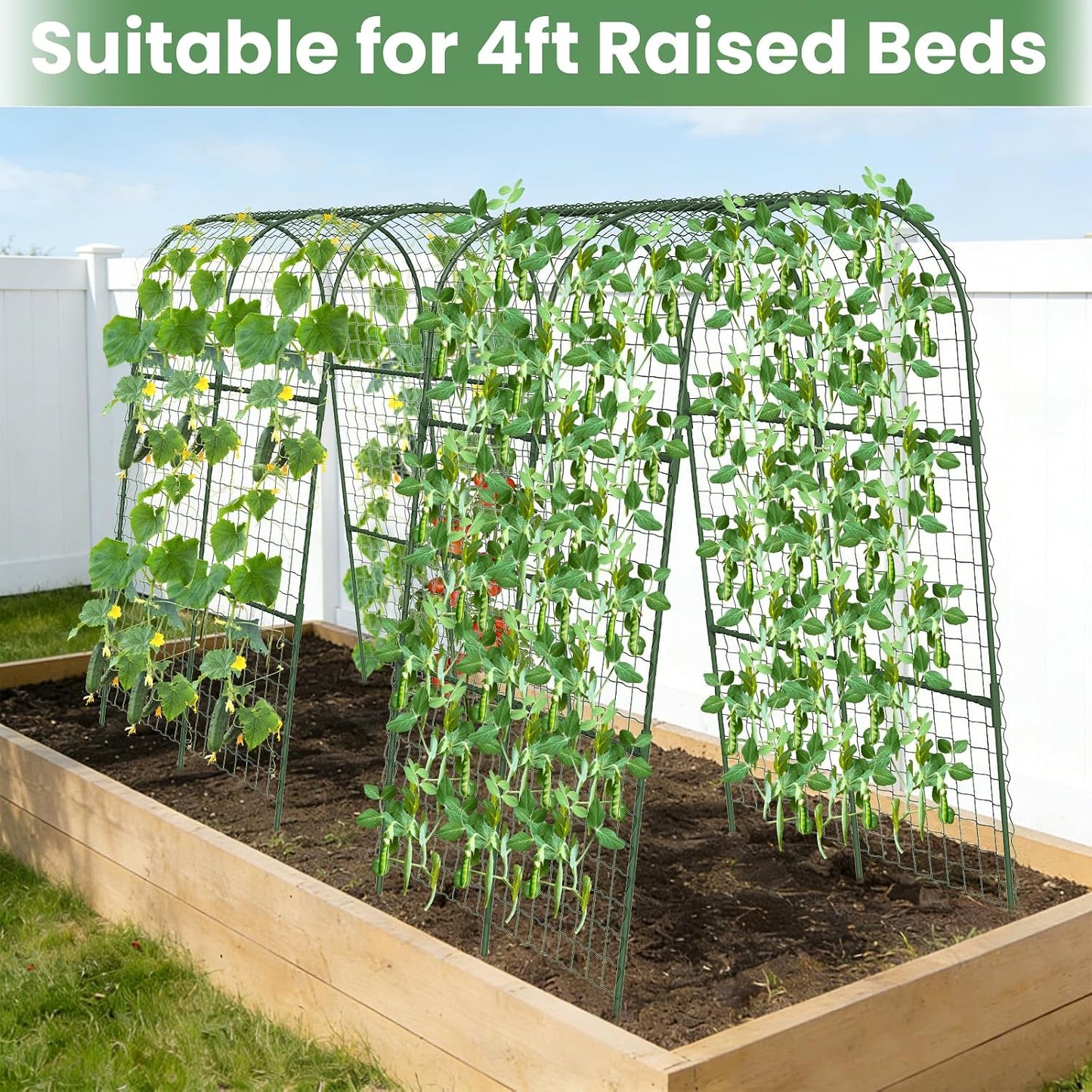 Cucumber Trellis, Metal Garden Arch Trellis for Raised Bed, 48 x 48inch U-Shape Garden Trellis for Climbing Plants Outdoor, Vegetables Fruit Plant Support with Netting, Gardening Supplies (Green)
