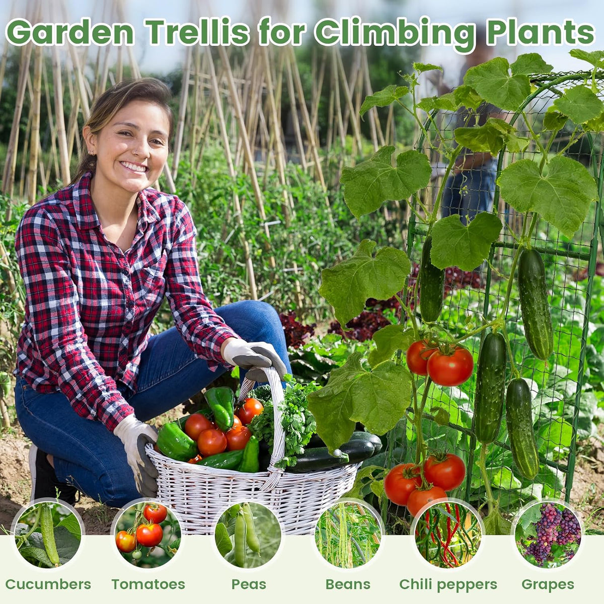 Cucumber Trellis, Metal Garden Arch Trellis for Raised Bed, 48 x 48inch U-Shape Garden Trellis for Climbing Plants Outdoor, Vegetables Fruit Plant Support with Netting, Gardening Supplies (Green)