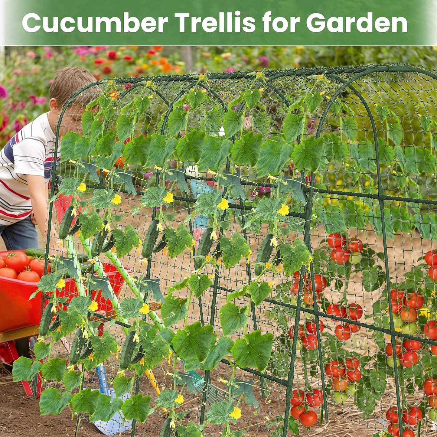 Cucumber Trellis, Metal Garden Arch Trellis for Raised Bed, 48 x 48inch U-Shape Garden Trellis for Climbing Plants Outdoor, Vegetables Fruit Plant Support with Netting, Gardening Supplies (Green)